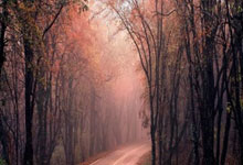 波兰爆冷被瑞士逆转，出线形势堪忧