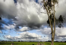 波兰爆冷被瑞士逆转,出线形势堪忧