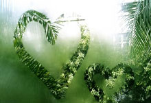 摩纳哥队长年底退役，谢幕告别舞台