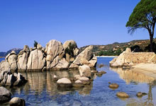 摩纳哥队长年底退役，谢幕告别舞台