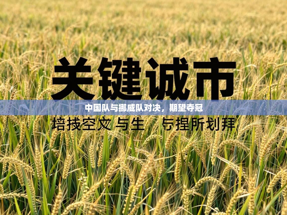 中国队与挪威队对决，期望夺冠  第2张