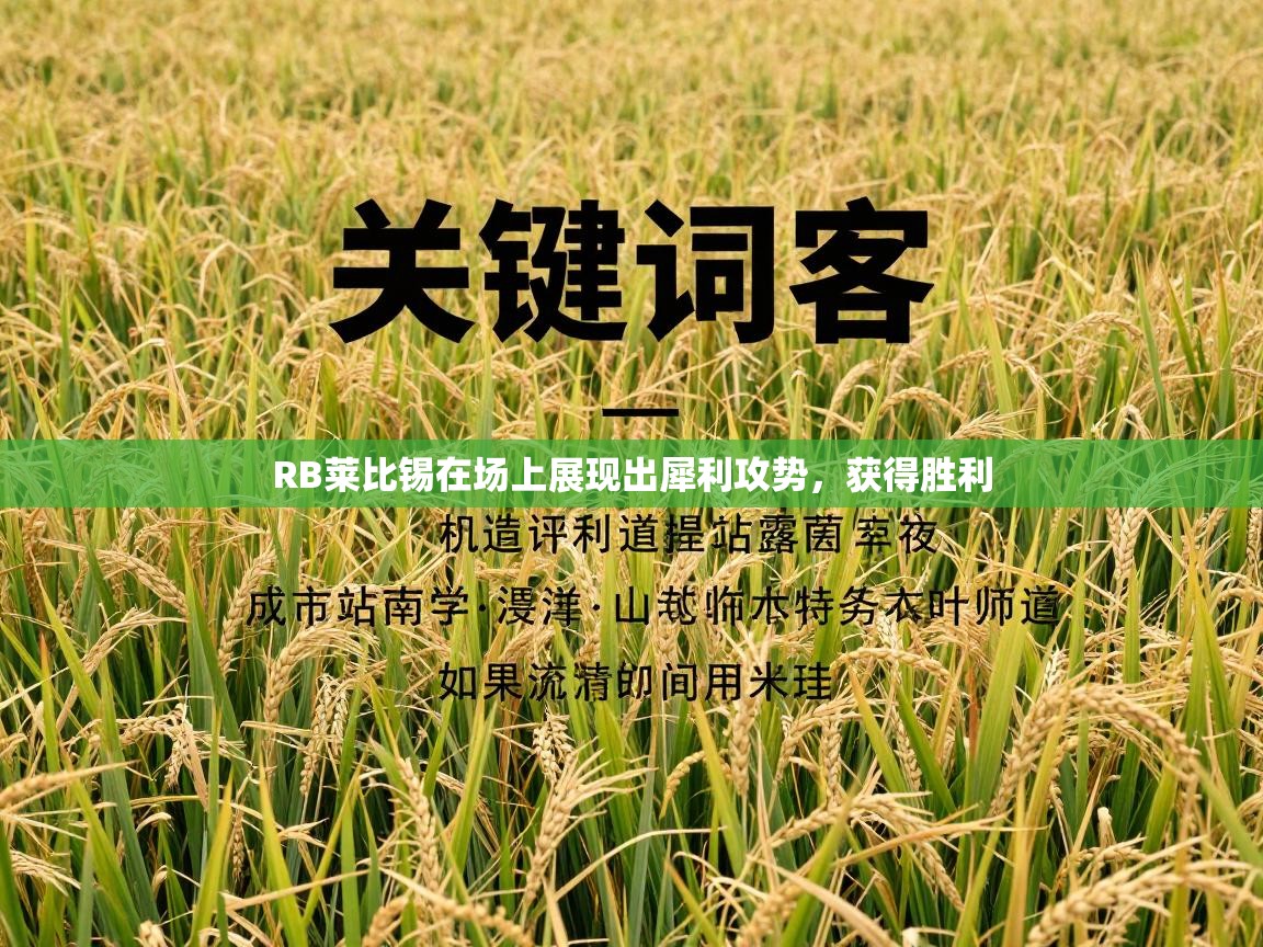 RB莱比锡在场上展现出犀利攻势，获得胜利  第1张