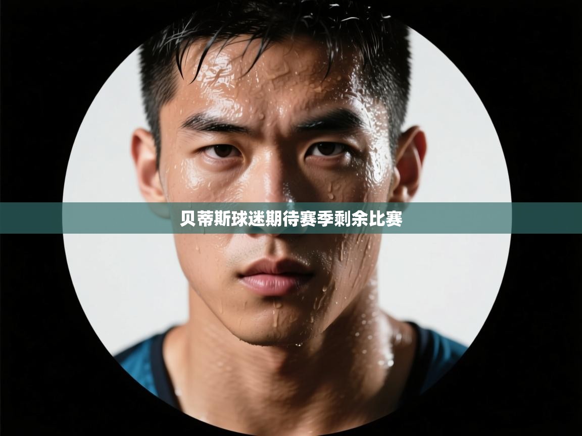 贝蒂斯球迷期待赛季剩余比赛 第1张