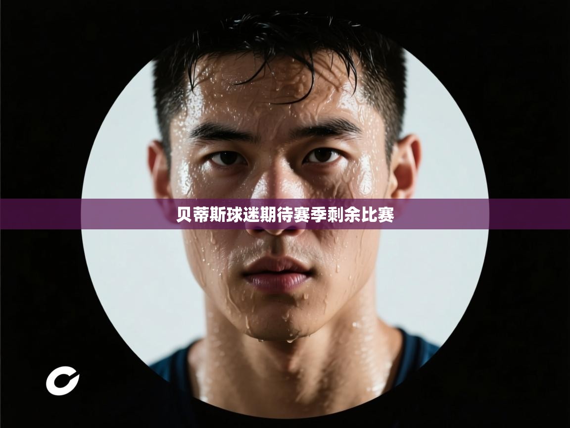 贝蒂斯球迷期待赛季剩余比赛 第2张