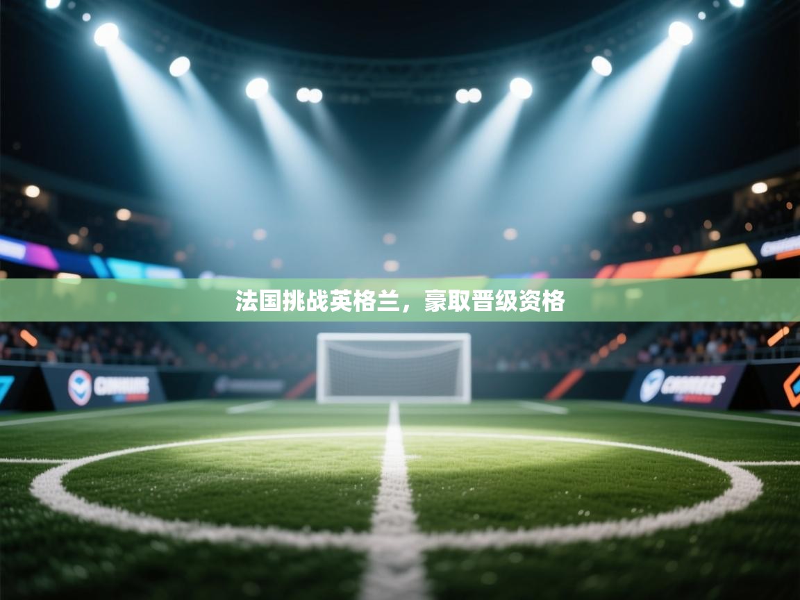 法国挑战英格兰，豪取晋级资格  第1张